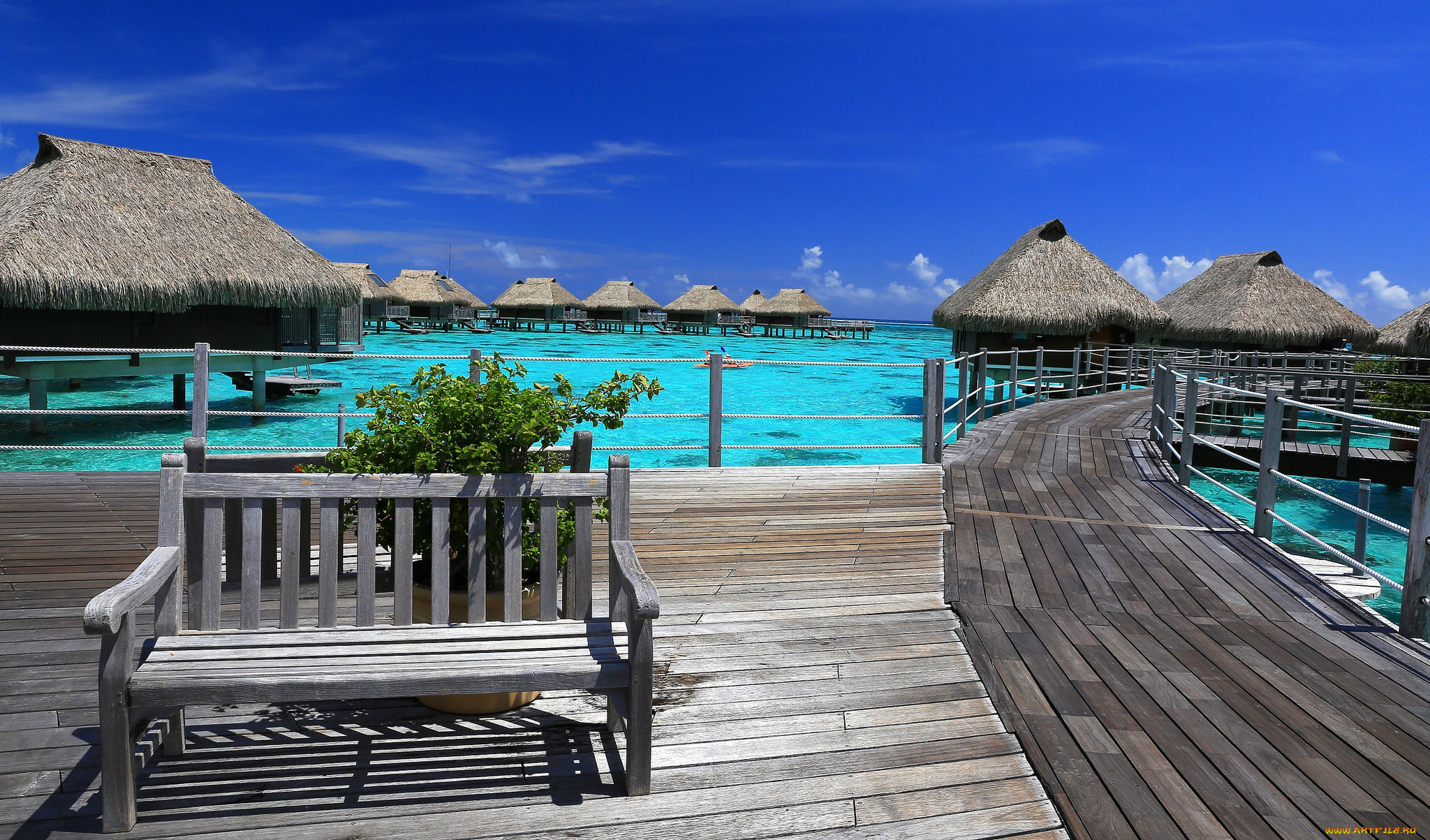 moorea, , , 